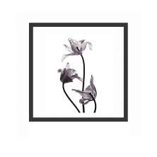 Quadro Decorativo com Moldura Rosas Preto