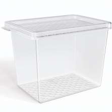 Organizador de Geladeira Multiuso Cozinha 1,3L com Tampa Transparente Frutas Verduras UZ