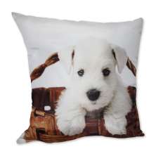 Almofada Cachorro Cesto Branco 42x42cm Uniart