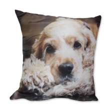 Almofada Cachorro Cocker Marrom 42x42cm Uniart