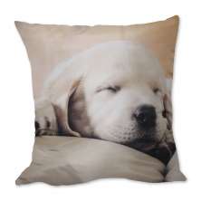 Almofada Cachorro Filhote Dormindo Bege 42x42cm Uniart