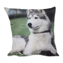 Almofada Cachorro Husk Siberiano Branco 42x42cm Uniart