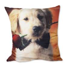 Almofada Cachorro com Rosa Bege 42x42cm Uniart