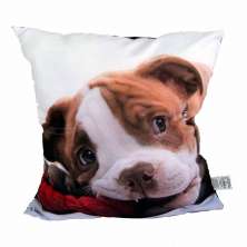 Almofada Impressão Digital Cachorro Marrom e Branco 42x42cm Uniart