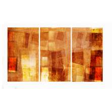 Conjunto com 3 Quadros Decorativos Abstrato Salmão