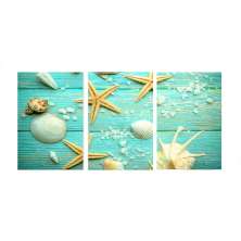 Conjunto com 3 Quadros Decorativos Conchas Verde e Bege
