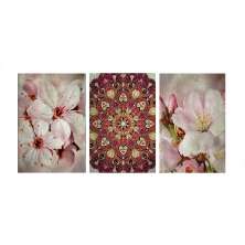 Conjunto com 3 Quadros Decorativos Mandala Rosa