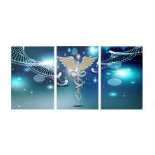 Conjunto com 3 Quadros Decorativos Medicina Azul