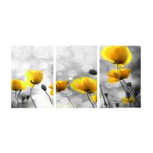 Conjunto com 3 Quadros Decorativos Papoulas Amarelo e Cinza