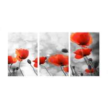 Conjunto com 3 Quadros Decorativos Papoulas Vermelho e Cinza