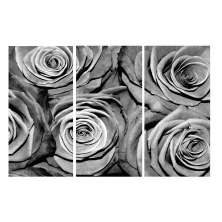 Conjunto com 3 Quadros Decorativos Rosas Cinza