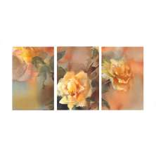 Conjunto com 3 Quadros Decorativos Rosas Salmão
