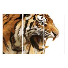 Conjunto com 3 Quadros Decorativos Tigre Laranja