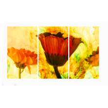 Conjunto com 3 Quadros Decorativos Tulipa Amarelo e Vermelho