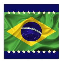 Quadro Bandeira Uniart Verde 45x45cm