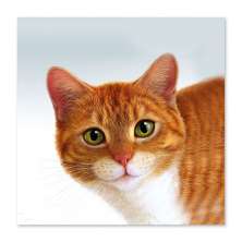 Quadro Gato Uniart Amarelo 45x45cm