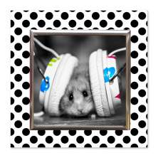 Quadro Hamster Uniart Preto & Branco 45x45cm