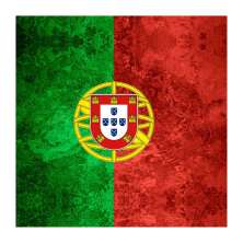 Quadro Impressão Digital Bandeira de Portugal 30x30