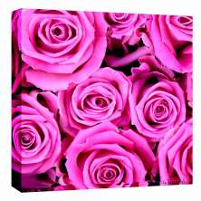 Quadro Impressão Digital Rosas Rosa 30x30cm Uniart