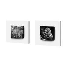 Quadros Sobreposto Preto Par Flores PB Imp. Digital 50x50cm