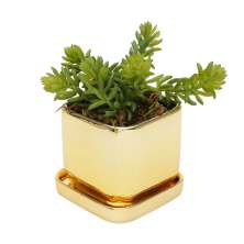 Cachepot Shiny Dourado 10 x 10 cm