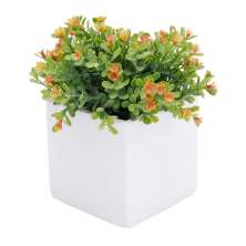 Cachepot Square Branco 11 x 11 cm