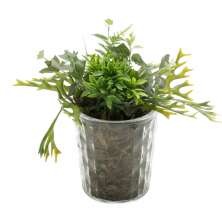 Vaso Decorativo Lines Transparente