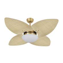 Ventilador de Teto Kovalski Dourado 4 Pás Palmae Natural 127V