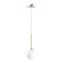 Pendente Para Gesso Dourado Fosco Globo Vidro Jabuticaba Blown